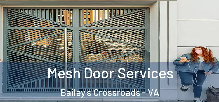 Mesh Door Services Bailey's Crossroads - VA